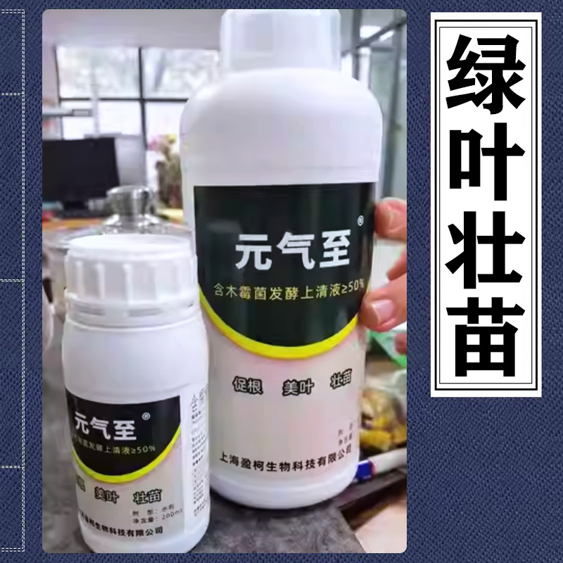 元气至腐殖酸水溶肥草坪绿篱苗灌木地被木霉菌发酵上清液促根壮苗-封面