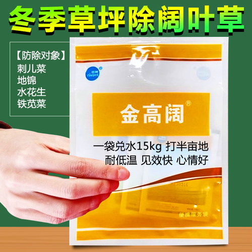 马尼拉黑麦草坪除阔叶水花生地锦
