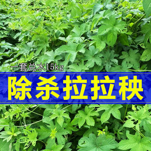 荒山荒地拉拉秧除草剂田埂葎草拉拉藤烂根剂割人藤死草枯萎药