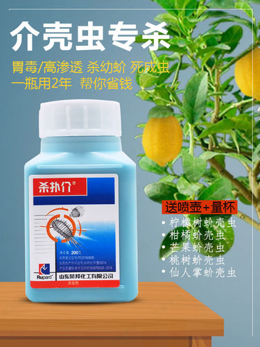 柠檬柑橘蚧壳虫多肉蚧必治杀扑介