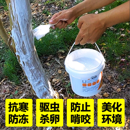 果树干涂白树木刷白防冻杀菌清园