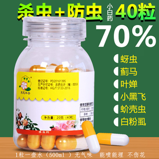 噻虫嗪胶囊护花匠噻虫螓小白药噻嗪虫颗粒剂塞虫嗪月季蚜虫杀虫剂