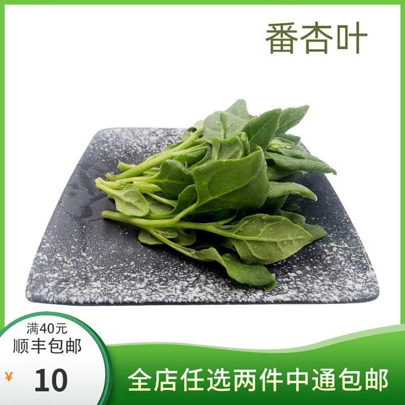 勤励园新鲜番杏叶1斤无污染蔬菜健康食品零食青菜蔬菜