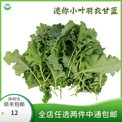 勤励园羽衣甘蓝250g新鲜现摘