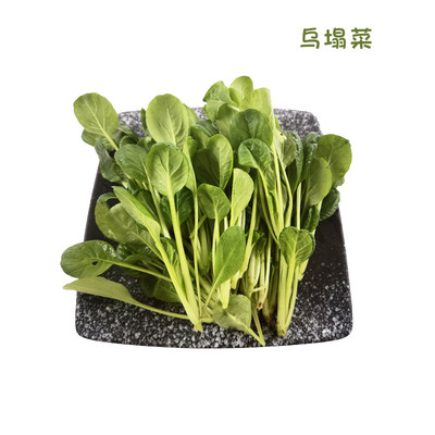 勤励园新鲜蔬菜乌塌菜500g