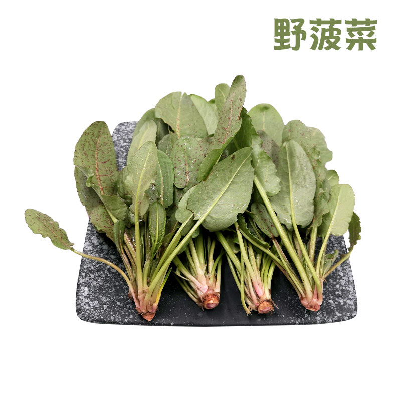 勤励园新鲜野菠菜500g
