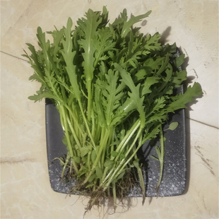 勤励园新鲜蒿子秆500g无污染蔬菜健康食品零食青菜蔬菜