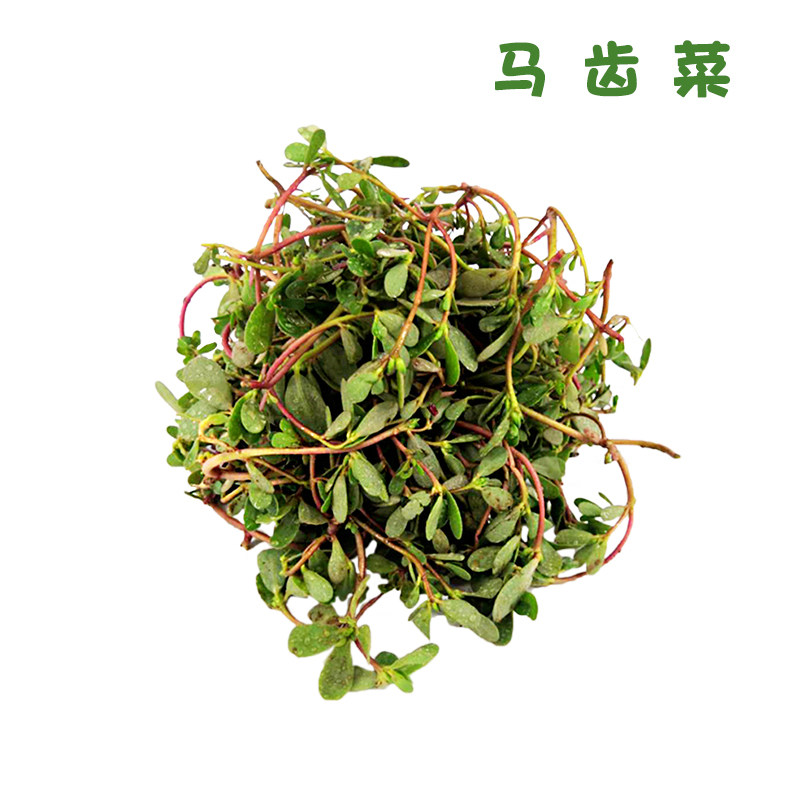 勤励园马齿苋1斤装水果新鲜健康现摘现卖蔬菜时蔬