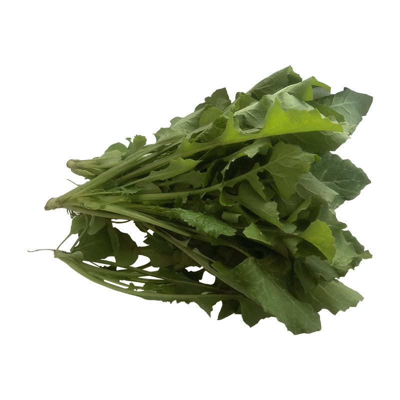 勤励园新鲜苦菜1斤无污染现采现摘蔬菜健康食品零食青菜蔬菜,水产肉类/新鲜蔬果/熟食,其它,淘宝优惠券,粉丝福利购,淘宝优惠卷