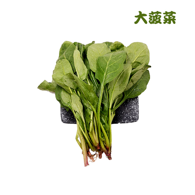 勤励园新鲜大菠菜500g