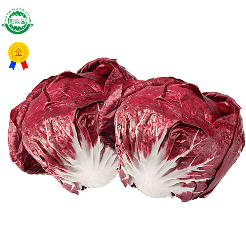 新鲜紫苣菊苣落地球生菜沙拉蔬菜食材红叶包菜 红菊苣500G,水产肉类/新鲜蔬果/熟食,其它,淘宝优惠券,粉丝福利购,淘宝优惠卷