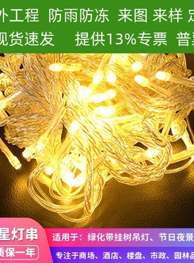 彩灯户外防水led灯串门店装饰满天星泡壳灌胶节日厂家质保冰条灯