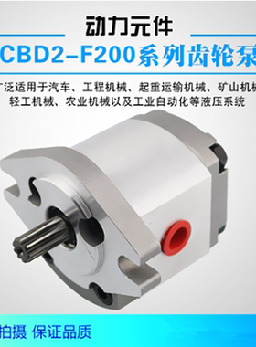 CBD2-F201.3/20.2/202.7/203.4/204.1/205.1/206.1高效齿轮油泵