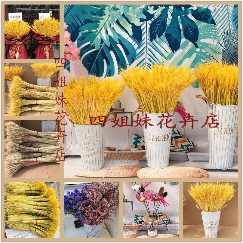 干花小麦稻穗真正杂粮橱窗农家乐