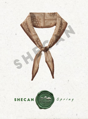 SHECAN【西窗】耐看经典~高级感洋气时尚百搭丝巾 5XC5756