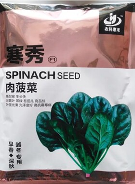 寒秀肉菠菜种子 耐寒菠菜种子早春深秋越冬种植寿光蔬菜种子