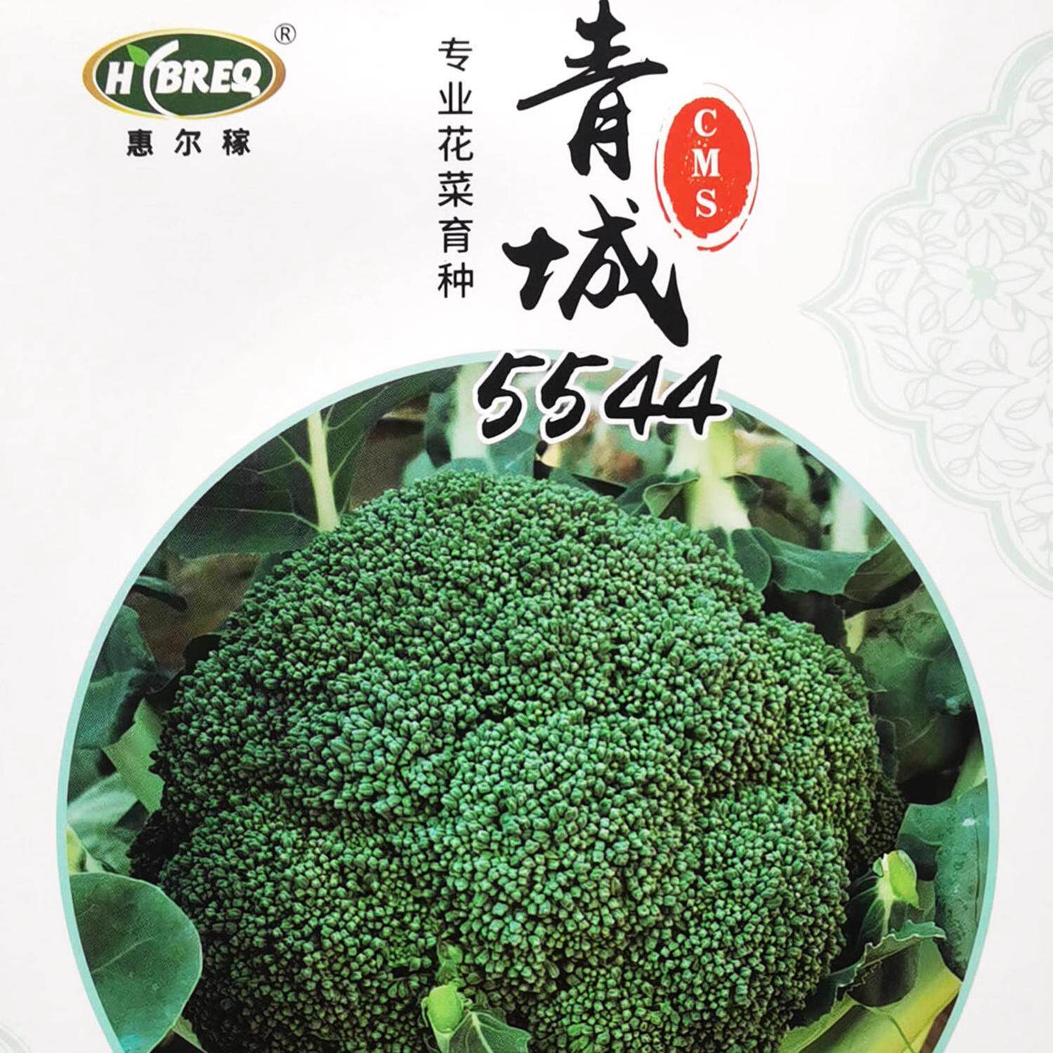 惠尔稼青城5544西兰花种子耐寒中熟深绿高圆平整直立紧凑高产种籽