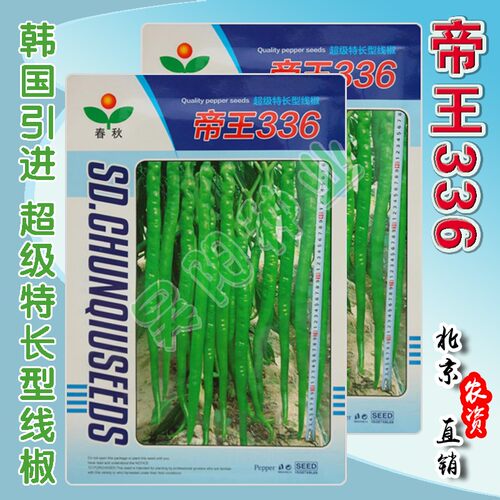 蔬菜帝王红绿四季香辣味线椒种子