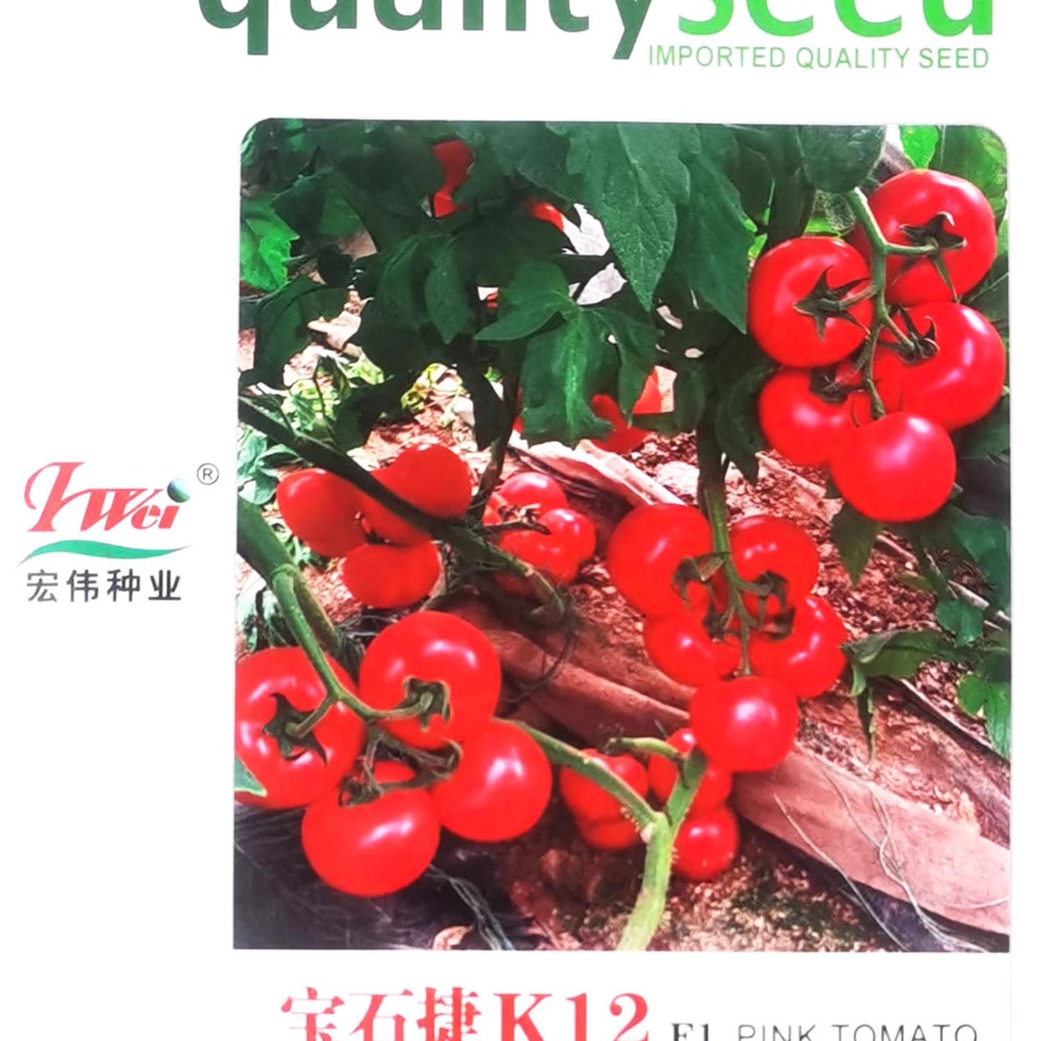 宏伟种业宝石捷K12番茄种子 早熟精品大果深粉抗病高产西红柿种籽