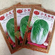 义和秋大白菜种子小义和秋白菜种籽正宗白菜高产秋播冬储露天包邮