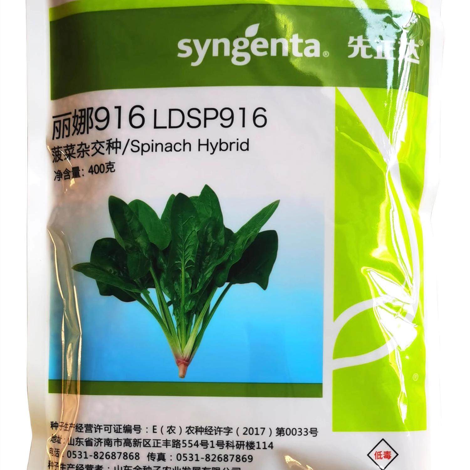 先正达丽娜916菠菜种子进口原装中熟耐热抗病 尖圆叶深绿高产种籽