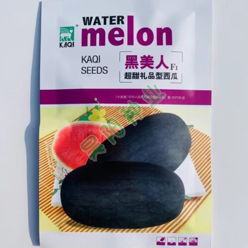 黑皮红瓤卡其黑美人礼品西瓜种