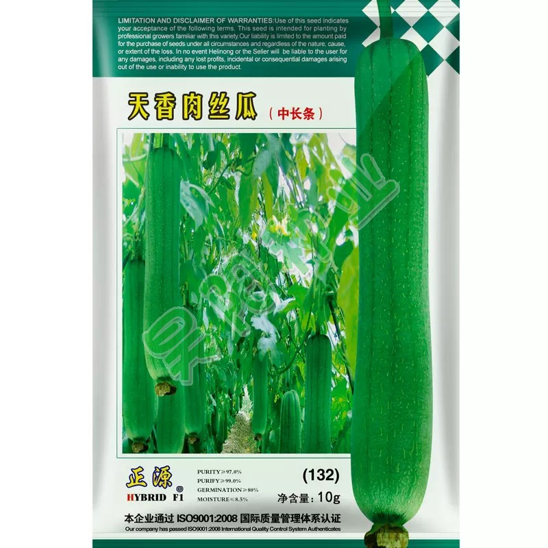 肉丝瓜种子短圆桶型中早熟品种