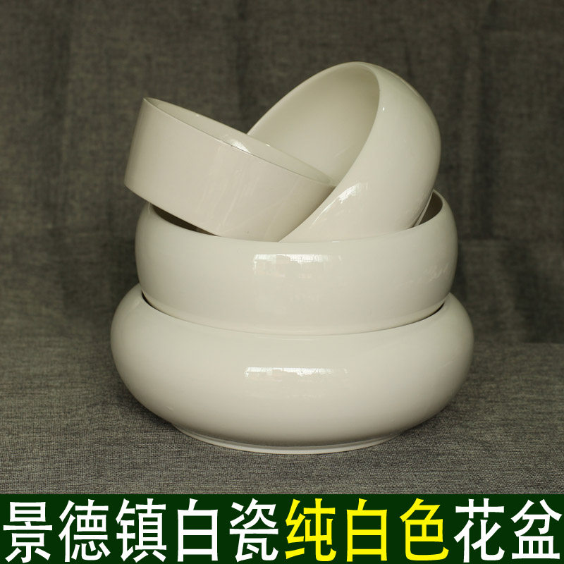 纯白水仙花陶瓷盆特大号圆形水培花卉植物花盆中号小号简约青花瓷,家居饰品,花盆,淘宝优惠券,粉丝福利购,淘宝优惠卷