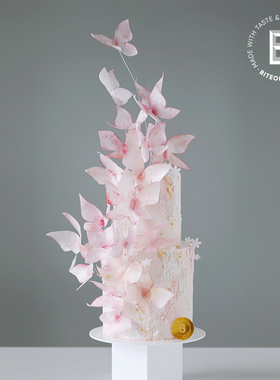 BITEOLOGY【桃花蝶语/设计师款】E162 生日蛋糕新品北京上海同城