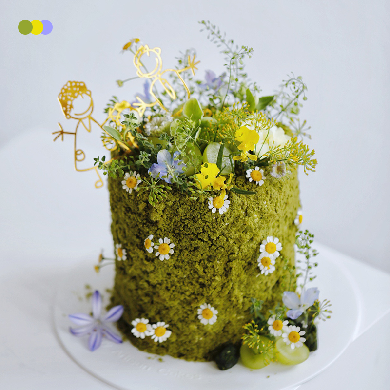 BITEOLOGY【绿野仙踪】森系创意加高生日蛋糕北京上海同城C285