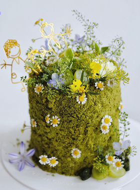 BITEOLOGY【绿野仙踪】森系创意加高生日蛋糕北京上海同城C285