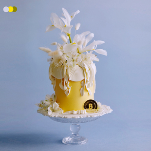 BITEOLOGY【Serene Light动物奶油生日蛋糕北京上海同城配送C292