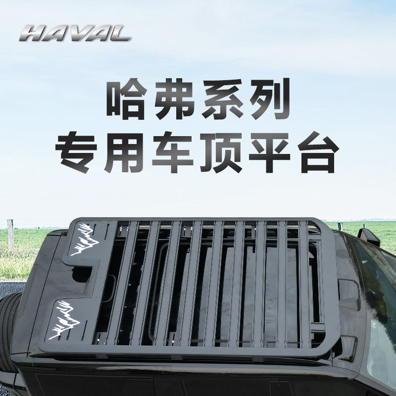 哈弗大狗H5 H6 H9长城炮商用版免横杆车顶行李架框平台侧爬梯改装