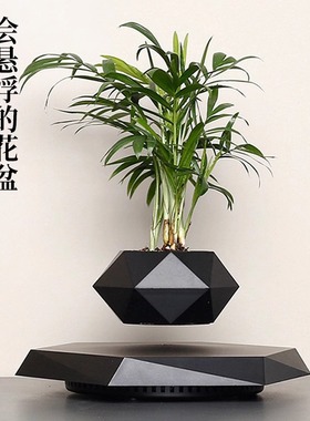 衡艺木质底座磁悬浮盆栽摆件