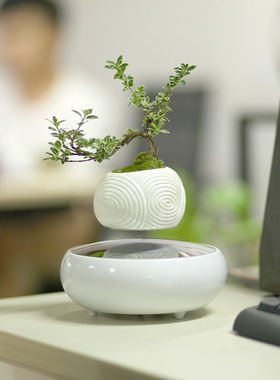 衡艺磁悬浮自转盆栽智能悬浮