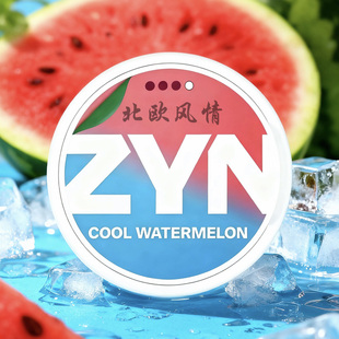 瑞典zyn欧版口含唇袋suns系列果味白唇薄荷戒替上班提神解困神器