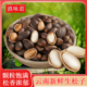 云南特产高山松子磕松原味散装 落水黑松子大颗粒薄壳不开口坚果