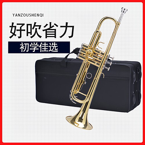 文彦小号文彦小号降b调专业演奏