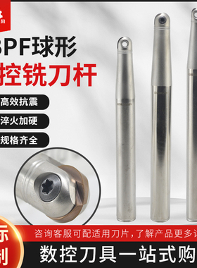 ABPF球型刀杆ZPFG半圆球刀杆柳叶刀片装日立山特16R8 20R10 30R15