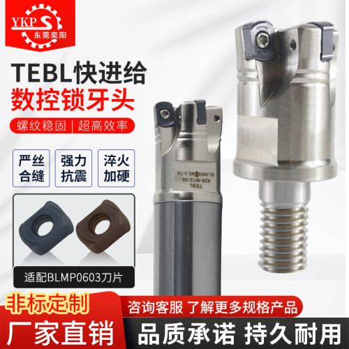 YKPTEBL06快进给锁牙头