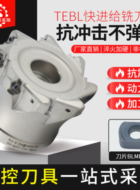 TEBL快进给铣刀盘CNC加工中心刀盘刀杆特固克通装BLMP0603R铣刀片