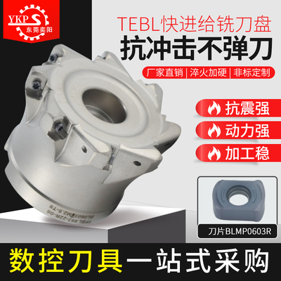 TEBL铣刀盘特固克数控铣快进给