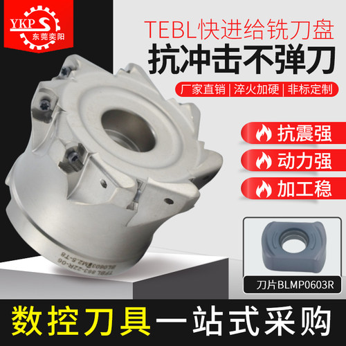 TEBL铣刀盘特固克数控铣快进给
