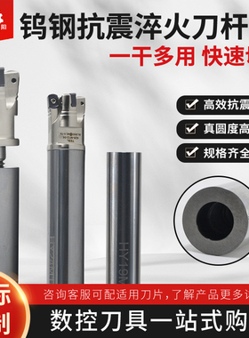 钨钢抗震刀杆 可替换不同锁牙铣刀头 汽车塑胶模具行业用 YKP品牌