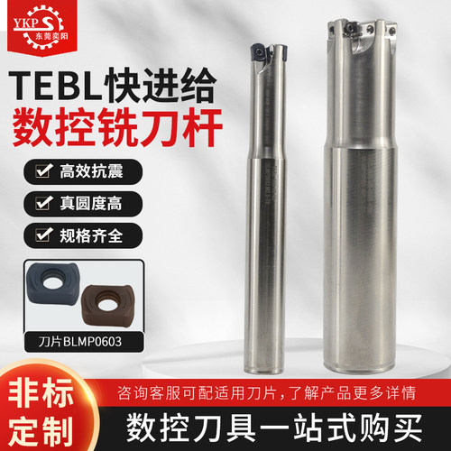 TEBL快进给铣刀杆特固克同款