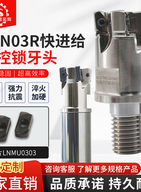 EXN03R双面快进给数控锁牙头铣刀杆刀盘刀片LNMU030303ZER厂家YKP
