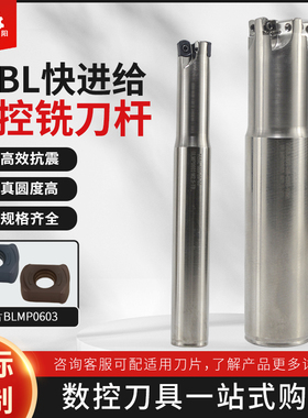 TEBL快进给铣刀杆 双面快进给开粗铣刀杆 BLMP0603刀片特固克同款