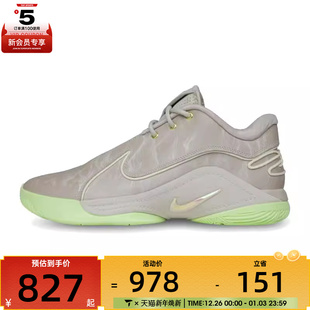 FZ1095 EP运动训练篮球鞋 002 XXII NIKE耐克男子LEBRON