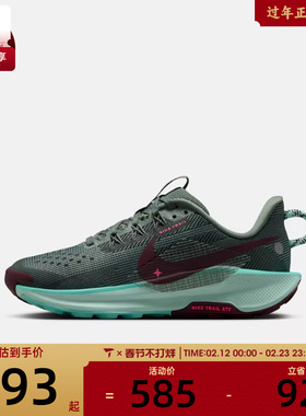 NIKE耐克大童PEGASUS TRAIL 5运动训练跑步鞋FV5638-301
