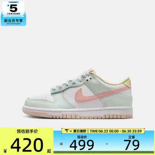 NIKE耐克大童DUNK  BG运动休闲鞋IV2861-181